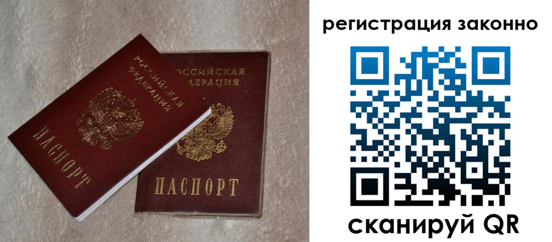 прописка законно в Фрязино